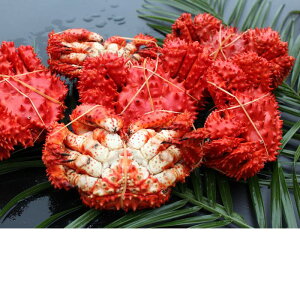 yӂ邳Ɣ[Łz [kCY] ԍKj 4 ~ 6  ( v 1.2kg ) ԍ炪 ԍ ԍ炩 ԍI  Jj I  O CN kC s ӂ邳Ɣ[ A-57037