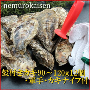 yӂ邳Ɣ[Łz [kCY] ktJL 90 ~ 120g × 12   y t Jt  O CN Z kC s ӂ邳Ɣ[ A-57055