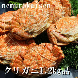 yӂ邳Ɣ[Łz [kCY] NKj 200 ~ 250g × 5 ~ 6  ( v 1.2kg ) N 肪 N I NI  Jj I  O CN kC s ӂ邳Ɣ[ A-57056