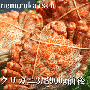 yӂ邳Ɣ[Łzy1221ϊm蕪܂ŔNzz [kCY] NKj 3  ( v 900g O ) N 肪 N I NI  Jj I  O CN kC 