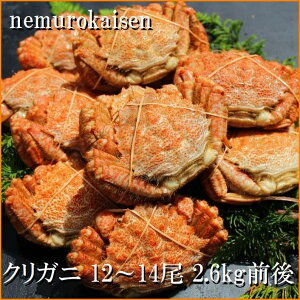 yӂ邳Ɣ[Łz [kCY] NKj 12 ~ 14  ( v 2.6kg O ) N 肪 N I NI  Jj I  O CN kC s ӂ邳Ɣ[ A-57061