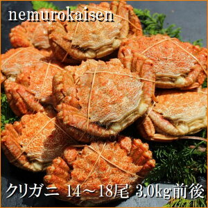 yӂ邳Ɣ[Łz [kCY] NKj 14 ~ 18  ( v 3kg O ) N 肪 N I NI  Jj I  O CN kC s ӂ邳Ɣ[ A-57062