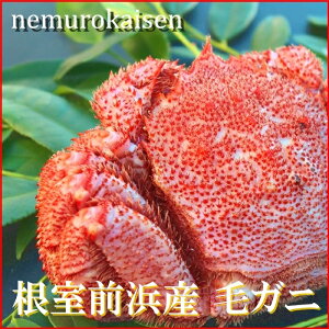 yӂ邳Ɣ[Łz [kCY] т 450 ~ 500g × 1  уKj ъI  PKj  Jj I  O CN ~\ Jj~\ JjX IX ɖX kC s ӂ邳Ɣ[
