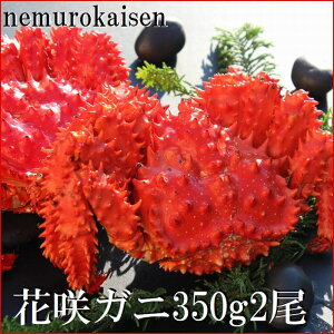 yӂ邳Ɣ[Łz [kCY] ԍKj 350g × 2   ԍ炪 ԍ ԍ炩 ԍI  Jj I  O CN kC s ӂ邳Ɣ[ B-57028