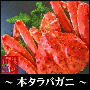 �y�ӂ邳�Ɣ[�Łz �y12��21�����ϊm�蕪�܂ŔN���z���z �{�^���o�K�j 1.0 �` 1.2kg �O�� × 1 �� ����� �^���o ����΂��� ����ΊI �^���o�I ���� �J�j �I ������ �O���� �C�N �{�C�� 䥂ŊI