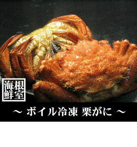 yӂ邳Ɣ[Łz [kCY] NKj 10 ` 13  ( v 3kg O ) N 肪 N I NI  Jj I  O CN kC s ӂ邳Ɣ[ C-57015