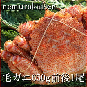 yӂ邳Ɣ[Łz [kCY] уKj 650g O × 1  т ъI  PKj  Jj I  O CN ~\ JjX IX ɖX kC s ӂ邳Ɣ[ C-57016