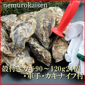yӂ邳Ɣ[Łz [kCY] ktJL 90 ~ 120g × 24   y t Jt  O CN Z kC s ӂ邳Ɣ[ C-57036