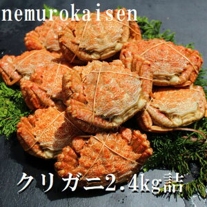 yӂ邳Ɣ[Łz [kCY] NKj 200 ~ 250g × 10 ~ 12  ( v 2.4kg ) N 肪 N I NI  Jj I  O CN kC s ӂ邳Ɣ[ C-57038