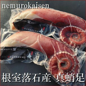 yӂ邳Ɣ[Łz [kCY] hgp^ 800g ~ 1.2kg O × 2 {  ^R  O CN {C   ^R 䥂ł 䥂Ń_R 䥂ő ł Ń_R ő kC