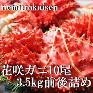 yӂ邳Ɣ[Łz [kCY] ԍKj 10  ( v 3.5kg O ) ԍ炪 ԍ ԍ炩 ԍI  Jj I  O CN kC s ӂ邳Ɣ[ C-57052