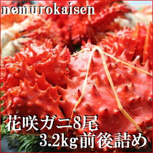 yӂ邳Ɣ[Łzy1221ϊm蕪܂ŔNzz [kCY] ԍKj 8  ( v 3.2kg O ) ԍ炪 ԍ ԍ炩 ԍI  Jj I  O CN kC s ӂ