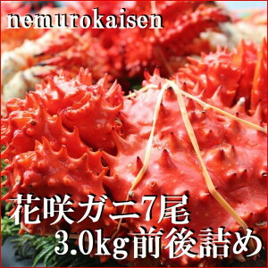 yӂ邳Ɣ[Łzy1221ϊm蕪܂ŔNzz [kCY] ԍKj 7  ( v 3.0kg O ) ԍ炪 ԍ ԍ炩 ԍI  Jj I  O CN kC s ӂ