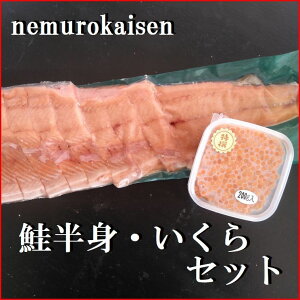 【ふるさと納税】\年内配送間に合います!/鮭半身(切身)とイクラの醤油漬けセット C-57058