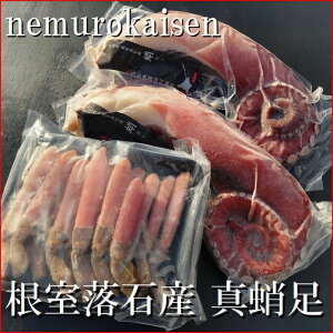 yӂ邳Ɣ[Łz hgp^ 800g ~ 1.2kg O × 2 {A{YCKj|[V 500g × 1P 킢 YC 킢 YCI 킢I  Jj I  O CN ^R  