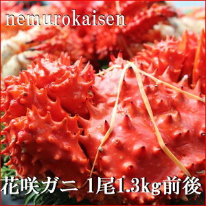 �y�ӂ邳�Ɣ[�Łz�y12��21�����ϊm�蕪�܂ŔN���z���z [�k�C�������Y] �ԍ�K�j 1.3kg �O�� �ԍ炪�� �ԍ� �ԍ炩�� �ԍ�I ���� �J�j �I ������ �O���� �C�N �k�C�� �����s �ӂ邳�Ɣ[�� D-