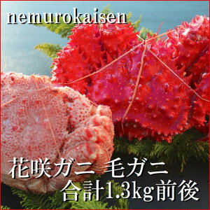 yӂ邳Ɣ[Łz [kCY] ԍKj 1 Eт 1  ( 2 v 1.3kg O ) ԍ炪 ԍ ԍ炩 ԍI уKj ъI  PKj  Jj I  O CN kC 