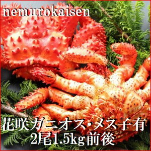 yӂ邳Ɣ[Łz [kCY] ԍKj ( IXEX ) e 1  ( v 1.5kg O ) ԍ炪 ԍ ԍ炩 ԍI  Jj I  O CN 蕨 kC s ӂ邳Ɣ[ D-5