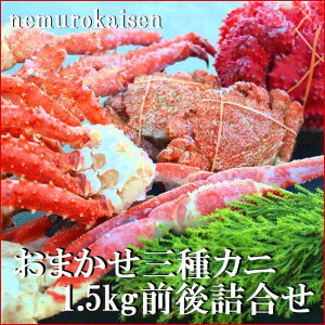 yӂ邳Ɣ[Łz ܂ 3 ̃JjHה ( v 1.5kg O ) ԍ炪 ԍ ԍKj ԍI ΂炪 CoKj ΂I ΂Kj YCKj YCI 킢I ^oKj 