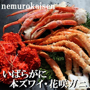 yӂ邳Ɣ[Łz ΂炪ɁE{YCKjEԍKj̎ÕJjZbg ( v 3.0kg O ) ԍ炩 ԍ ԍ炪 ԍI  Jj I YC 킢 킢 YCI 킢I Co
