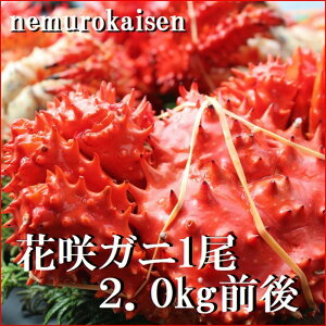 yӂ邳Ɣ[Łz [kCY] ԍKj 2kg O ԍ炩 ԍ ԍ炪 ԍI  Jj I  O CN p kC s ӂ邳Ɣ[ E-57003