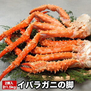 yӂ邳Ɣ[Łz CoKj̋r 2  ( v 1.5kg O ) ΂炪 ΂I ΂Kj  Jj I  O CN 䥂ŊI 䥂ł 䥂ŃKj kC s ӂ邳Ɣ[ C-58017