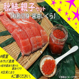 【ふるさと納税】[北海道根室産]秋鮭親子セット A-59006