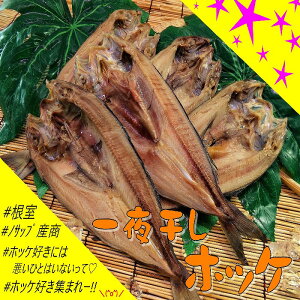 yӂ邳Ɣ[Łz [kCY] 銱zbP 5  ق zbP    O CN 銱  kC s ӂ邳Ɣ[ B-59005