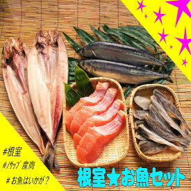 【ふるさと納税】[北海道根室産]根室のお魚セットA B-59007