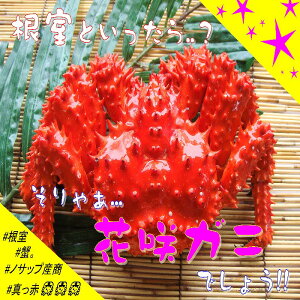 yӂ邳Ɣ[Łz [kCY] ԍKj 2  ( v 800g ȏ ) ԍ炪 ԍ ԍ炩 ԍI  Jj I  O CN {C 䥂ŊI 䥂ł 䥂ŃKj kC s ӂ邳