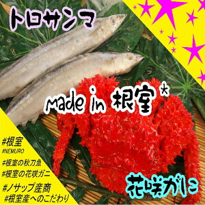 yӂ邳Ɣ[Łz [kCY] ԍKj 2  ( v 800g ȏ ) AⓀT} 10  Ƃ낳 g H ԍ炪 ԍ ԍ炩 ԍI  Jj I  O CN {C
