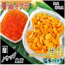 【ふるさと納税】 エゾバフンウニ塩水パック 80 ~ 90g × 1P、醤油いくら 80g × 1P イクラ 醤油 醤油漬け 魚卵 鮭卵 うに 雲丹 バフンウニ エゾバフンうに えぞばふんうに 蝦夷バウンウニ 蝦夷ばふんうに グルメ 海鮮 北海道 C-59026