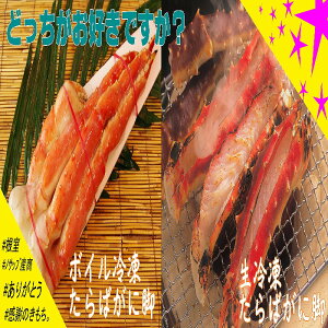 yӂ邳Ɣ[Łz [kCY] ⓀE{CⓀ΂ rZbg  ^o ^oKj ΂ ΊI ^oI  Jj I  O CN {C 䥂ŊI 