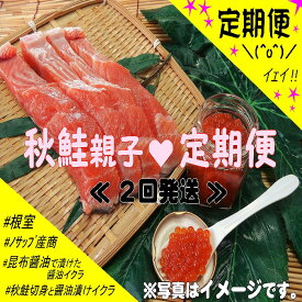 【ふるさと納税】 ＜定期便＞[北海道根室産]秋鮭親子Bコース定期便(2回発送) D-59011