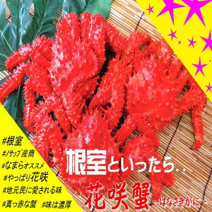 yӂ邳Ɣ[Łz [kCY] ԍKj 4 ~ 6  ( v 2.8kg ȏ ) ԍ炪 ԍ ԍ炩 ԍI  Jj I  O CN {C 䥂ŊI 䥂ł 䥂ŃKj kC s ӂ