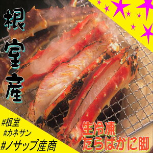 yӂ邳Ɣ[Łz [kCY] Ⓚ΂ɋr ( Jbgς ) 1.6kg  ^o ^oKj ΊI ^oI  Jj I  O CN  kC s ӂ邳Ɣ[ 