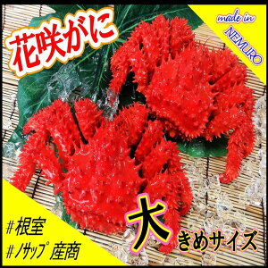 yӂ邳Ɣ[Łz [kCY] ԍ炪 2  ( v 1.3kg ) ԍKj ԍ ԍ炩 ԍI  Jj I  O CN {C 䥂ŊI 䥂ł 䥂ŃKj kC s ӂ邳Ɣ[