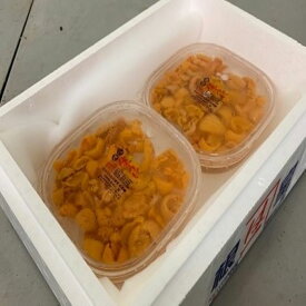 【ふるさと納税】 塩水うに 85g 前後 × 2P 70g 前後 × 3P 85g 前後 × 5P ウニ 雲丹 エゾバフンウニ 海鮮 海産物 塩水ウニ ウニ丼 うに丼 雲丹丼 えぞばふんうに 蝦夷バウンウニ 蝦夷ばふんうに 北海道 根室市 ふるさと納税