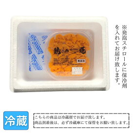 【ふるさと納税】エゾバフンウニ塩水パック100g 選べる 1P 2P うに ウニ 雲丹 エゾバフンウニ 海鮮 北海道 根室市