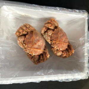 yӂ邳Ɣ[Łzy1210ϊm蕪܂ŔNzz [kCY] {CъI Iׂ 450g × 2  500g × 4  т уKj PKj  Jj I  O CN 䥂ŊI 䥂ł 