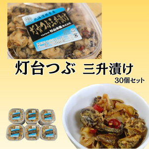 yӂ邳Ɣ[Łzy1210ϊm蕪܂ŔNzz [kCY] cuOЂ 30   ԊL cuL Ԃ cuKC L  O CN {C ݖ   