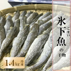 yӂ邳Ɣ[Łzy1221ϊm蕪܂ŔNzz[kCY]܂ 1.4kg A-69011