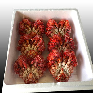 yӂ邳Ɣ[Łz [kCY] ԍ炩 1  ~ 10   Jj I ԍKj ԍI ԍ炪  O CN {C 䥂ŊI 䥂ł 䥂ŃKj kC s ӂ邳Ɣ[