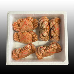 yӂ邳Ɣ[Łz т 400g O ~ 550g O × 1  ~ 6   Jj I ъI уKj т  PKj  O CN {C 䥂ŊI 䥂ł 䥂ŃKj kC s ӂ邳