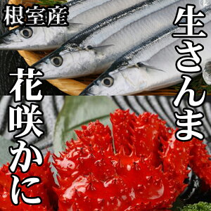 yӂ邳Ɣ[Łz [kCY] ( ԍ炩 300g O ~ 450g O × 1 E 5  × 1P ) H T} ԍ炪 ԍ ԍKj ԍI  Jj I  O CN kC 