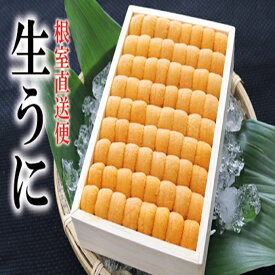 【ふるさと納税】 エゾバフンウニ並べ詰め 150g 選べる 1 折 ~ 2 折 うに ウニ 雲丹 バフンウニ エゾバフンうに えぞばふんうに 蝦夷バウンウニ 蝦夷ばふんうに お取り寄せ グルメ 海鮮 折詰 折り詰め 北海道 根室市 ふるさと納税