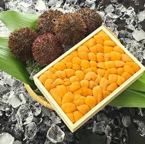 yӂ邳Ɣ[Łzy1217ϊm蕪܂ŔNzz G]otEjol 150g × 1   Ej _O otEj G]ot ΂ӂ񂤂 ڈ΃oEEj ڈ΂΂ӂ񂤂 Ej