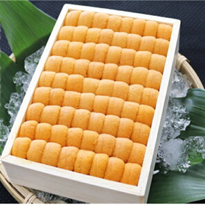 【ふるさと納税】【12月17日決済確定分まで年内配送】 エゾバフンウニ並べ詰め 250g × 1 折 うに ウニ 雲丹 バフンウニ エゾバフンうに えぞばふんうに 蝦夷バウンウニ 蝦夷ばふんうに ウニ丼