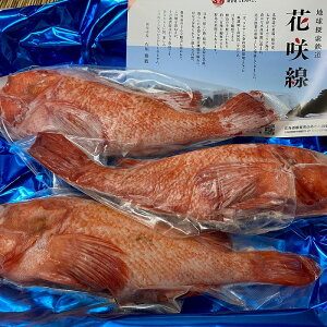 yӂ邳Ɣ[Łz [kCY] LL ( 炦 ) Iׂ 2  ` 6  L`W ߂   TJi  N  O CN ϕt kC s ӂ邳Ɣ[