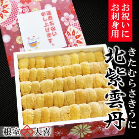 【ふるさと納税】蝦夷むらさきうに並べ詰め600g×1折[7月中旬以降発送] E-73003